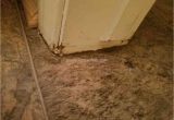 Empire today Carpet and Flooring Denver Co 53 Empire today Flooring Installation Reviews and Complaints
