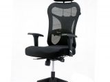 Ergonomic Office Chairs Under 500 Bluebell Ergonomic Metal and Plastic Natural Finish Office Chairs In