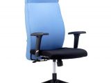 Ergonomic Office Chairs Under 500 Bluebell Ergonomic Office Chair Eleganz Hb B Buy Bluebell
