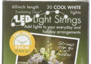 Everlasting Glow Led Light Strings Amazon Com Everlasting Glow Led Micro Led Light String 30 White