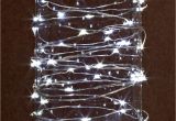 Everlasting Glow Led Light Strings Everlasting Glow 20ft Outdoor Battery Operated Micro Led Light