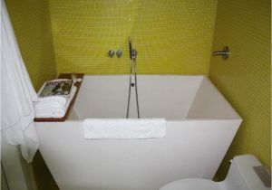 Extra Bathtubs for Sale Small Bathtubs for Sale — Schmidt Gallery Design