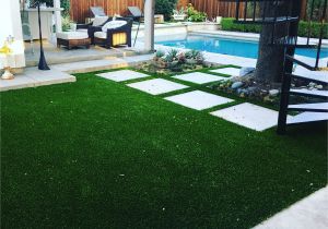 Fake Grass for Backyard Pin by Winter Moore On Wintergreen Synthetic Grass Pinterest
