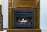 Fireplace Doors Online Majestic Fireplace Doors Choice Image Doors Design Modern