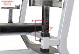 Fitness Gear Pro Olympic Bench Amazon Com Valor Fitness Bf 48 Olympic Bench Pro with Spotter