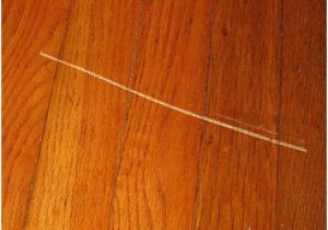 Fix Scratched Polyurethane Wood Floors How to Fix Scratched Floorboards Follow these Step by