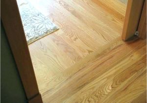Floor Transitions for Uneven Floors How to Install Hardwood Floors Uneven Suloor Carpet