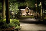 Flower Bed Lights Cast Lighting Moon Light and Uplighting Along A Driveway with A
