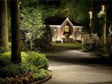 Flower Bed Lights Cast Lighting Moon Light and Uplighting Along A Driveway with A