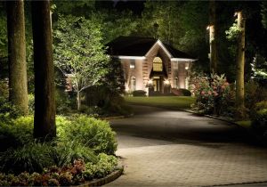 Flower Bed Lights Cast Lighting Moon Light and Uplighting Along A Driveway with A