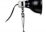 Fluker S Clamp Lamp Flukers Clamp Lamp with Dimmer Petco