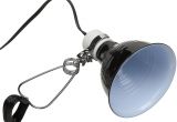 Fluker S Clamp Lamp with Dimmer 8.5-inch Flukers Ceramic Repta Clamp Lamp with Switch 5 5 In Chewy Com