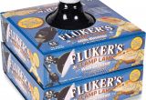 Fluker S Clamp Lamp with Dimmer Flukers Clamp Lamp with Dimmer 8 5 In Chewy Com