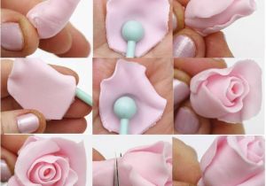 Foam Pads for Gumpaste Flowers 52 Best Sugar Flower Tutorials Images On Pinterest Sugar Flowers