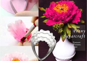Foam Pads for Gumpaste Flowers Amazon Com Peony and Austen Rose Sugar Flower tool Set Gumpaste