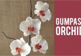 Foam Pads for Sugar Paste Flowers How to Make A Gum Paste orchid Youtube