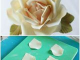 Foam Pads for Sugar Paste Flowers the 219 Best Flowers Made Of Sweetness Images On Pinterest Fondant