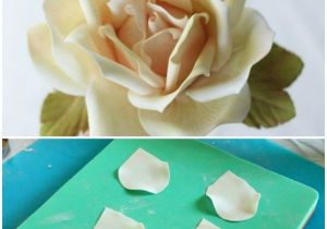 Foam Pads for Sugar Paste Flowers the 219 Best Flowers Made Of Sweetness Images On Pinterest Fondant
