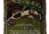Forest Floor Cypress Mulch Amazon Com Fluker S Premium Tropical Cypress Bedding for Reptile