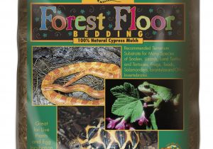 Forest Floor Cypress Mulch forest Floor Bedding A Zoo Med Europe