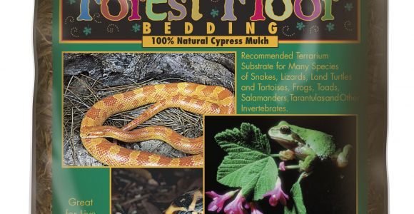 Forest Floor Cypress Mulch forest Floor Bedding A Zoo Med Europe