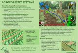 Forest Floor Mulch Christchurch One Stop organic Shop East Africa Training Materials