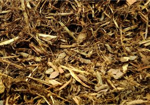 Forest Floor Mulch Nz Mulch Complete Landscape Supplies