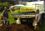 Forest Floor Mulch Nz Our Mulch Experiment Stop the Weeds and Feed the Plants Hum and