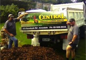 Forest Floor Mulch Nz Our Mulch Experiment Stop the Weeds and Feed the Plants Hum and