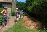 Forest Floor Mulch Nz Sheet Mulching the Druid S Garden