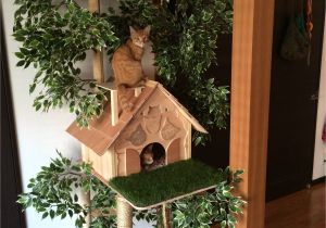Free Building Plans Outdoor Cat House Diy House Plans Endingstereotypesforamerica org