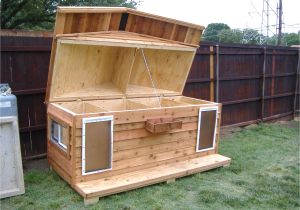 Free Large Breed Dog House Plans Dog House for Two Custom Large Heated Insulated Dog House with