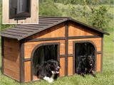 Free Large Breed Dog House Plans Duplex Dog House Plans Emergencymanagementsummit org