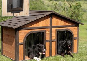 Free Large Breed Dog House Plans Duplex Dog House Plans Emergencymanagementsummit org