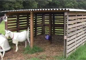 Free Standing Goat Hay Rack Our Goat Shelter Using Free Pallets Goats Pinterest Goat