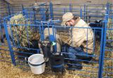 Free Standing Goat Hay Rack Sydell Lambing Kidding Pens Three Willows Ranch Supply Sheep
