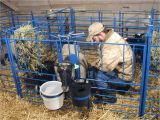 Free Standing Goat Hay Rack Sydell Lambing Kidding Pens Three Willows Ranch Supply Sheep