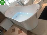 Freestanding Bathtub for Two Two Person soaking Tub – Infamousnow