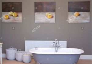 Freestanding Grey Bath Tub Freestanding Roll top Bathtub In Center Of Gray