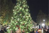 Frozen Christmas Light Show Hometown Holiday Parade and Tree Lighting Tracy Press