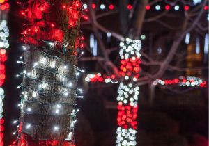 Frozen Christmas Light Show Outdoor Christmas Decorating Ideas Christmas Yard Ideas