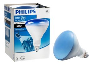 Full Spectrum Light Home Depot Philips 120 Watt Br40 Agro Plant Flood Grow Light Bulb 415307 the