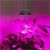 G8 Led Grow Light 10x E27 Greenhouse Led Grow Light 15w 21w 27w 36w 45w 54w Led Grow