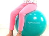 Gaiam Balance Ball Chair – Classic Yoga Ball Chair with 52cm Stability Ball the 246 Best Fitness Ball Pump Images On Pinterest Blues Court