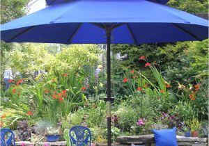 Garden Art Umbrellas Firenze Art Janet Davis Explores Colour