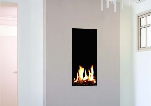 Gas Fireplace Inserts Denver Colorado Tall Narrow Gas Fireplace Created by ortal Fireplace