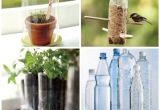 Glass Coke Bottle Decoration Ideas 25 Things to Do with Empty Plastic Bottles Water soda Bottle