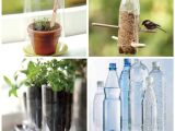 Glass Coke Bottle Decoration Ideas 25 Things to Do with Empty Plastic Bottles Water soda Bottle
