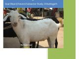 Goat Air Chair for Sale Pdf Unlocking Potential Goat Meat Chevon