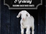 Goat Hay Rack 65 Best Future Goat Stuff Images On Pinterest Diy Hay Feeder